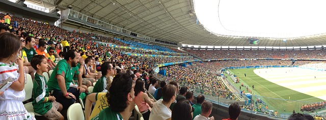 新星