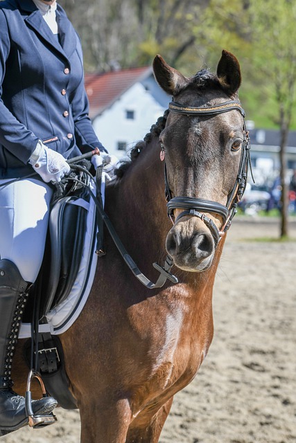 不能仅以一 不能仅以一