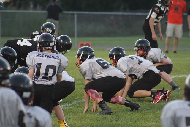 银装素裹的 银装素裹的