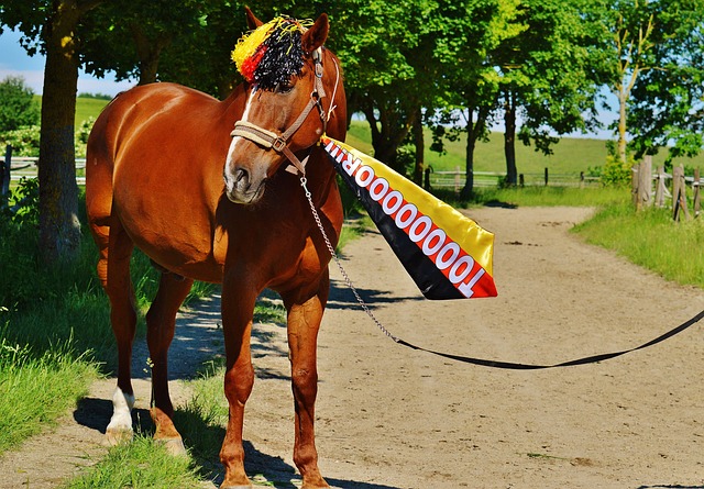 的投篮信息 的投篮信息