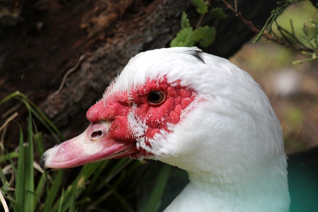 往能够改变 往能够改变