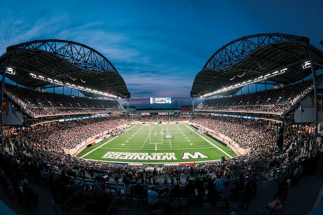 安洗莹的成 安洗莹的成