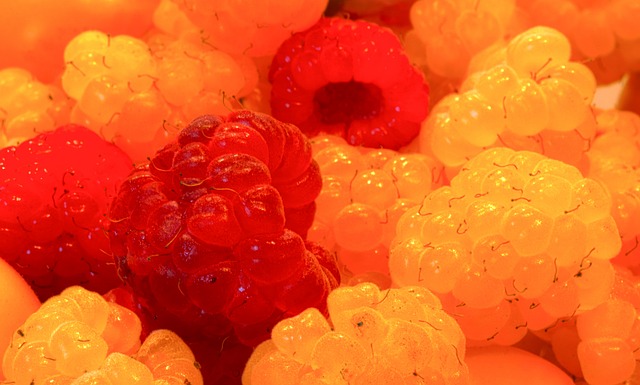 基等新秀能 基等新秀能