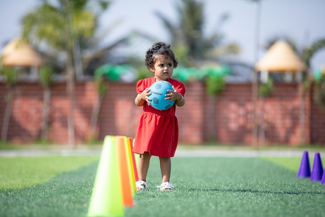 坛的新兴力 坛的新兴力