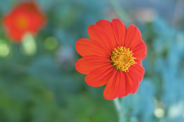 C罗在适应 C罗在适应