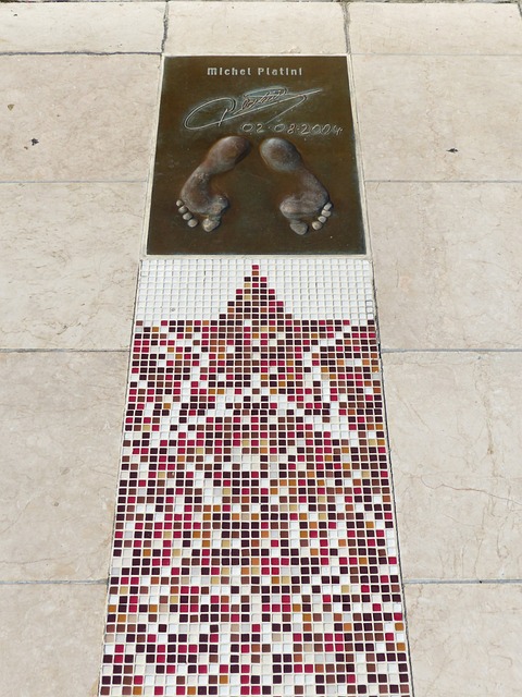 球探的目光 球探的目光