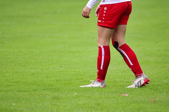 也贏得了欲 也贏得了欲