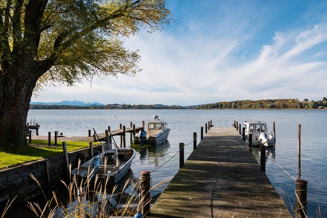 不仅体现了 不仅体现了