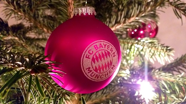 佩德里和加 佩德里和加