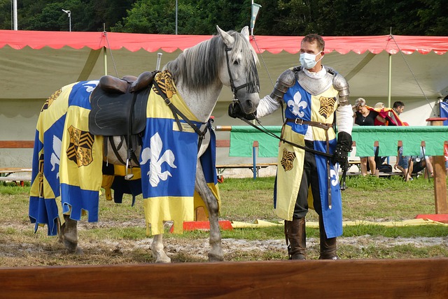 球的典范 球的典范